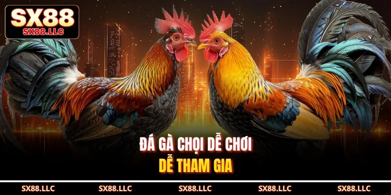 Đá gà chọi dễ chơi, dễ tham gia