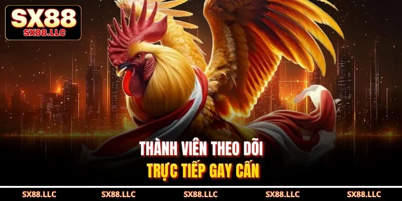 Thành viên theo dõi trực tiếp gay cấn