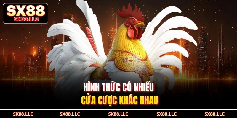 Hình thức có nhiều cửa cược khác nhau