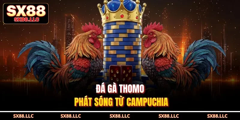 Đá gà Thomo phát sóng từ Campuchia