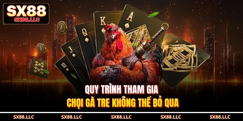 Quy trình tham gia chọi gà tre không thể bỏ qua