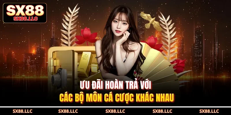 Ưu đãi hoàn trả với các bộ môn cá cược khác nhau