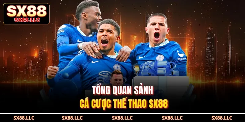 Tổng quan sảnh cá cược thể thao SX88